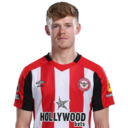 Lewis-Potter